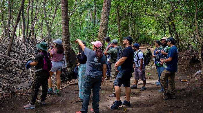 La actividad turística puede causar daños en la alimentación de los primates.