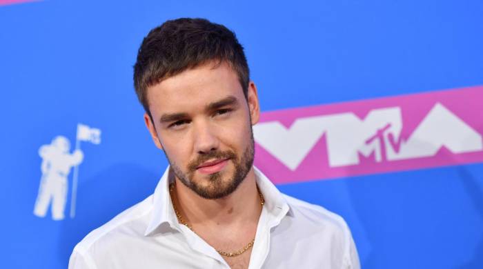 Liam Payne, quien murió a los 31 años después de caer desde el balcón de un hotel en Buenos Aires, el 16 de octubre de 2024, pasó más de la mitad de su vida en el ojo público como miembro de una de las bandas de chicos más exitosas del mundo.