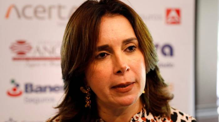 Presidenta de la Asociación Panameña de Aseguradores, Gina Herrero.