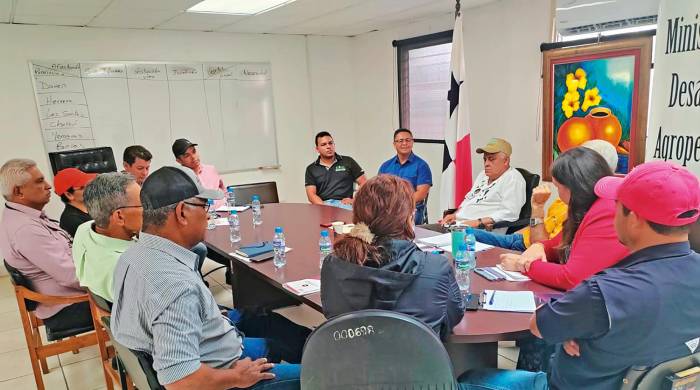 Autoridades del MIDA visitaron fincas productoras en Chiriquí para evaluar el impacto de las lluvias.