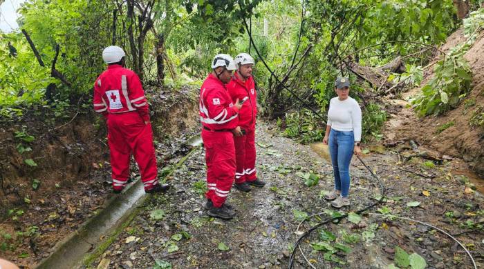 Se espera que el presidente y varios ministros recorran las áreas afectadas.