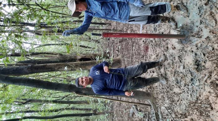 Se realizaron múltiples giras de campo por los humedales.