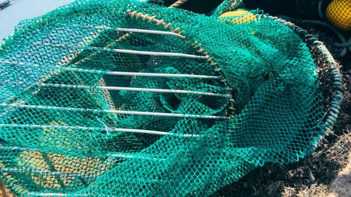 El DET se incorpora a la parrilla del cuello de la sred para facilitar la huida de la tortugas marinas y animales grandes.