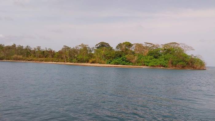 Costas de Panamá donde hay presencia de sargazo.