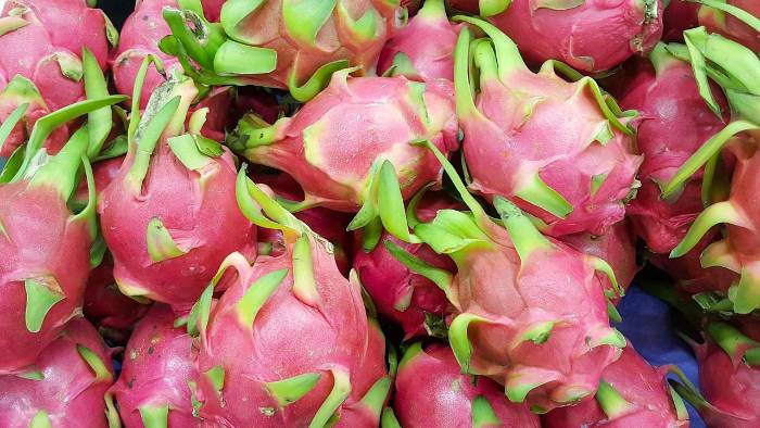 Ecuador cuenta con 8.000 hectáreas de pitahaya.