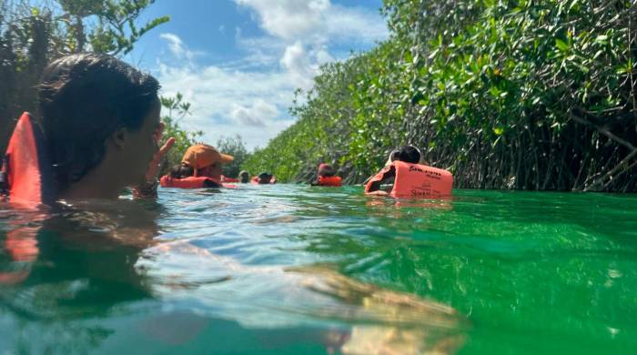 Sian Ka’an es un sitio Ramsar con 528.147 hectáreas con tres ecosistemas dominantes: selvas, humedales y acuáticos.