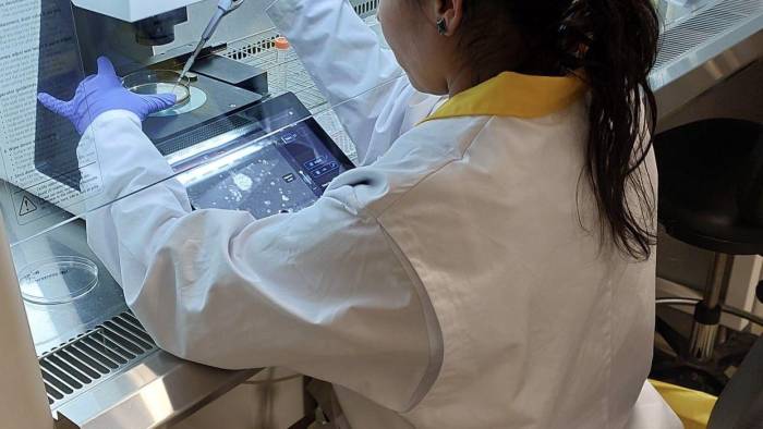 Solís tiene un doctorado en Biotecnología que cursó en Taiwán.