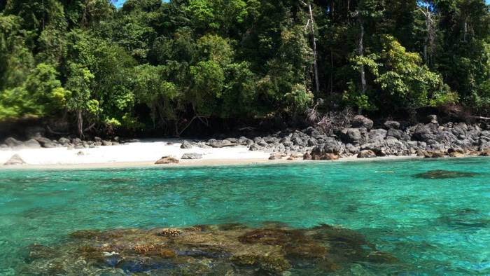 Panamá un paraíso turístico por conocer