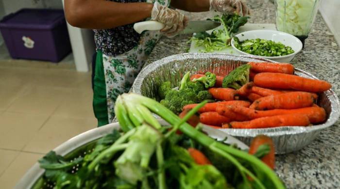 El menú es confeccionado por nutricionistas-dietistas.