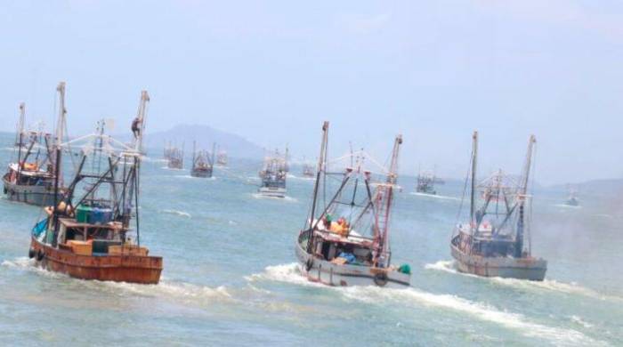 Panamá busca erradicar la pesca ilegal en sus aguas nacionales.