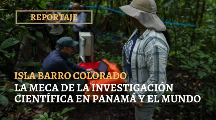 Isla Barro Colorado, la meca de la Investigación científica en Panamá y el mundo