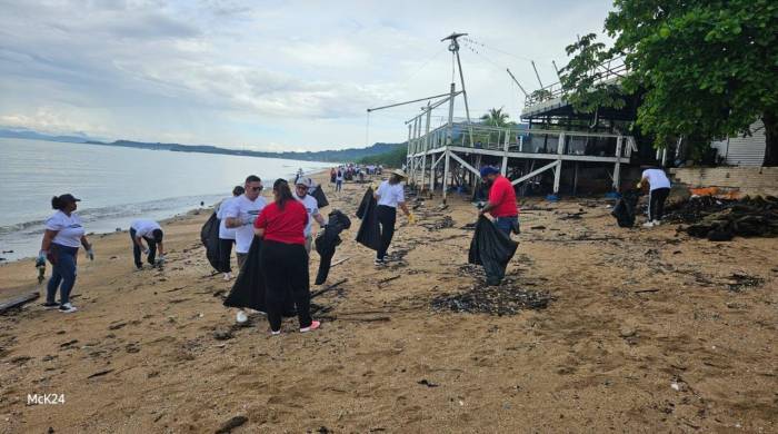 Participaron más de 500 voluntarios.