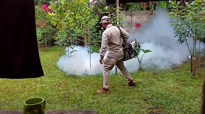 En la semana epidemiológica 43 no se reportaron muertes por dengue.