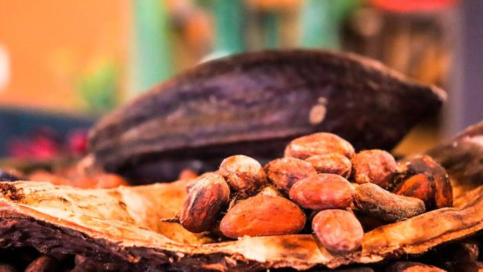 Panamá envía la subpartida 180631 de chocolate y demás preparaciones alimenticias que contengan cacao, en bloques, tabletas o barras a seis destinos, entre ellos, EE.UU. y Alemania.