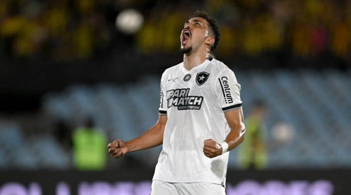 Carlos Eduardo, del Botafogo, celebrando el pase a la final de la Copa Libertadores.