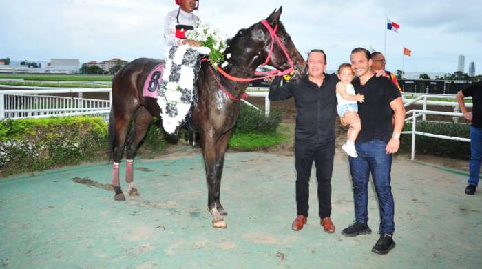 Luego del impresionante triunfo de ‘Cirano’ fue recibido en el recinto de ganadores por Manuel Grimado, Manuel Grimaldo hijo y nieta.