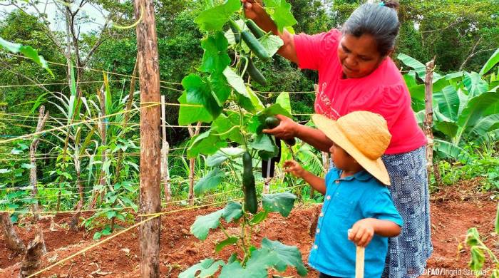 El Corredor Seco de Centroamérica abarca el litoral pacífico de El Salvador, Guatemala, Honduras, Nicaragua, Costa Rica y Panamá.