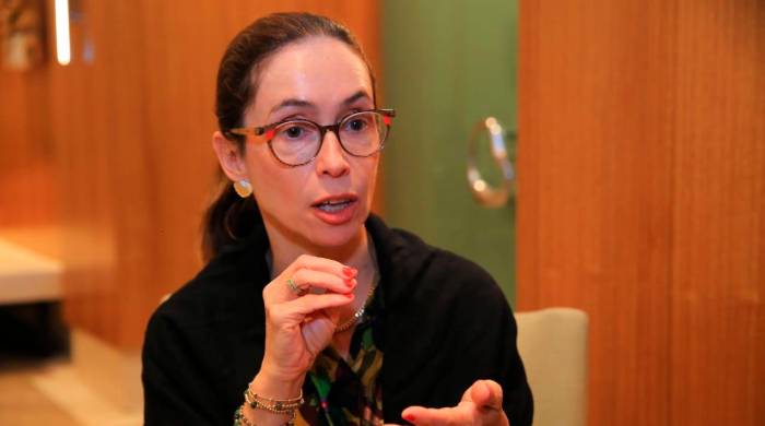 Sandra González, vicepresidente de la Corte de Arbitraje (ICC) de la Cámara de Comercio Internacional