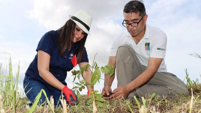 Entre los proyectos que se desarrolla está el Voluntariado Ambiental que permite involucrar y sensibilizar a la población como agente de cambios.