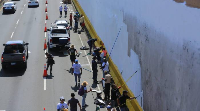 Las tareas continuarán hasta este domingo 2 de junio.