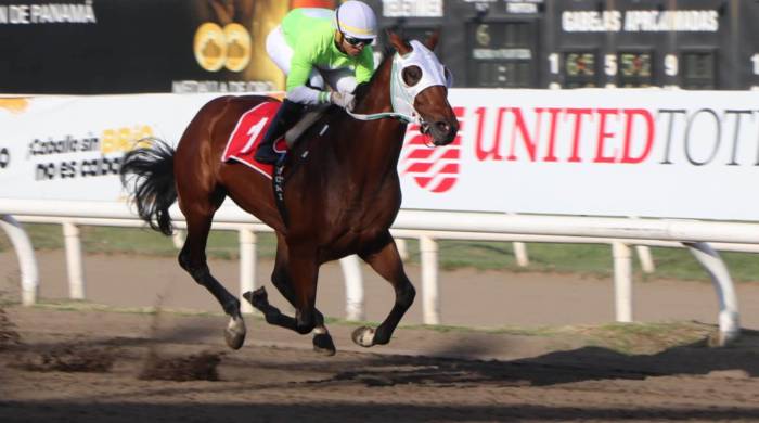 El colorado nacional ‘The Rose King’ será la carta brava brava a batir en la carrera estelar de la cartilla.