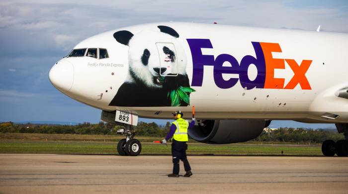 Un vuelo especial de FedEx llamado Panda Express que transporta dos pandas gigantes desde China llega al Aeropuerto Dulles en Virginia.