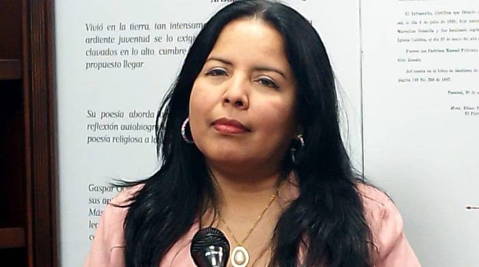 Ana Patiño, asesora económica de Conato.