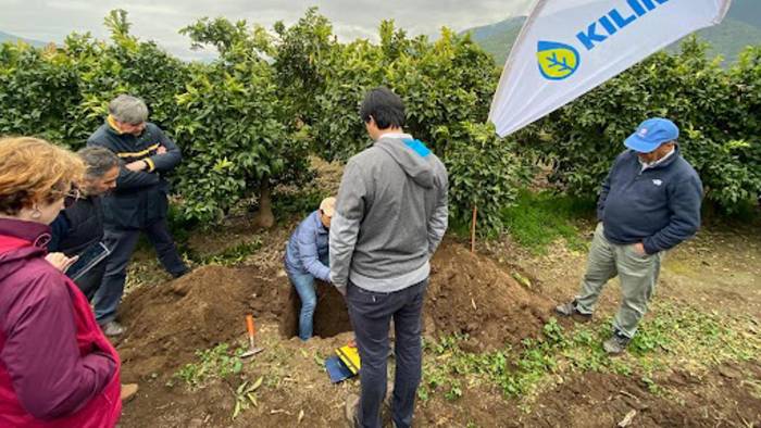 Fotografía cedida por Kilimo de personas observando un cultivo en una zona de Peñaflor (Chile).