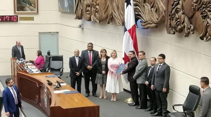 La ministra de Gobierno, Dinoska Montalvo presentó el proyecto ante el pleno legislativo.