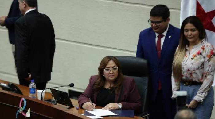 La presidenta del Órgano Legislativo, Dana Castañeda recordó a los diputados, el inicio de las sesiones extraordinarias a las 3:30 del próximo 6 de noviembre.