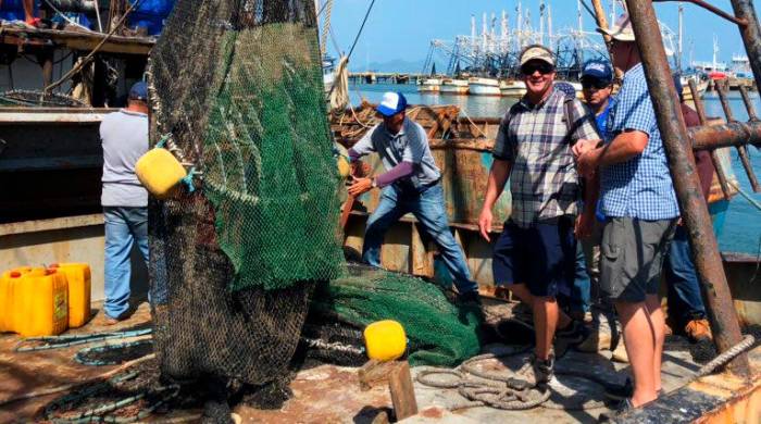 La supervisión de la NOAA a Panamá es anual, y hasta el 11 de junio de 2024 había certificado a 37 países para exportar camarones.