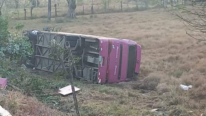 El SNM aclaró que los buses autorizados poseen cámaras y alerta para los conductores.