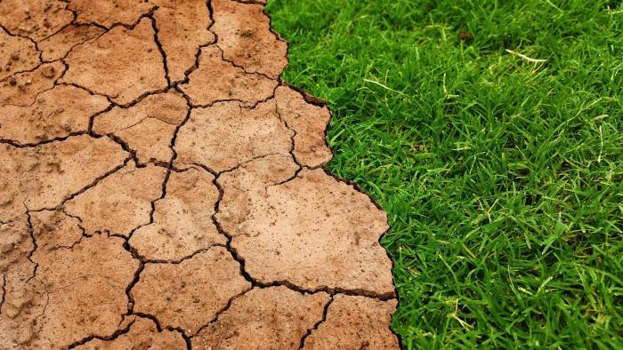 El cambio climático, además de los seres vivos, también impacta la productividad agrícola, los ingresos y el desarrollo de los países.