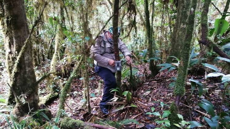 90 guardaparques se graduaron en el 2024 en la Escuela de Guardaparques del MiAMBIENTE.