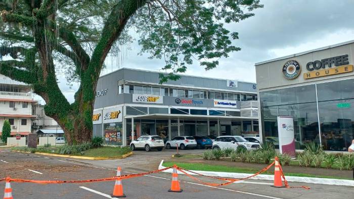 El árbol de corotú se ubica en la servidumbre pública frente a la Plaza Comercial Galería, en David.